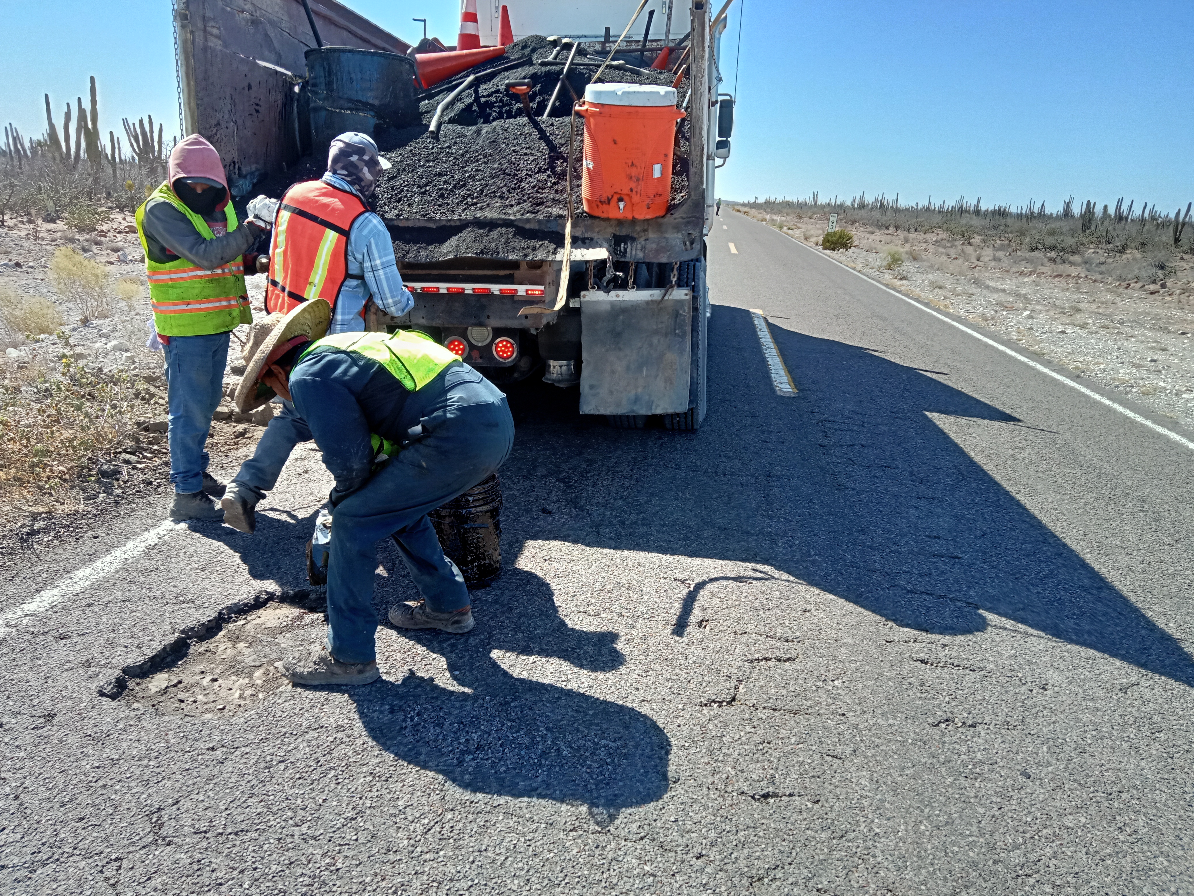 Bacheo